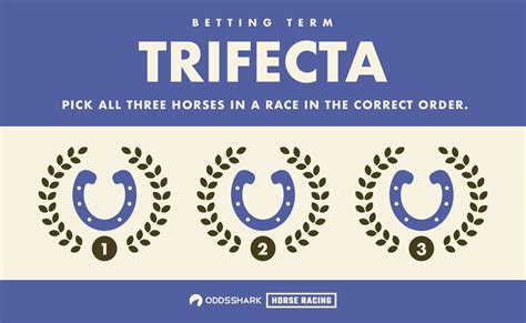 trifecta definition|trifecta definition how to bet.